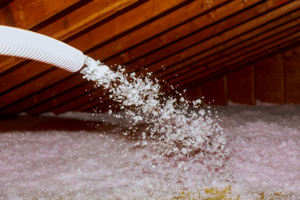 Best Cellulose Insulation  in East Hampton North, NY