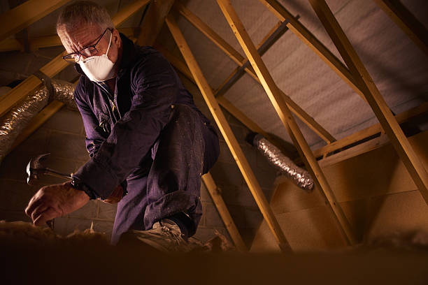 Best Insulation Contractor Near Me  in East Hampton North, NY